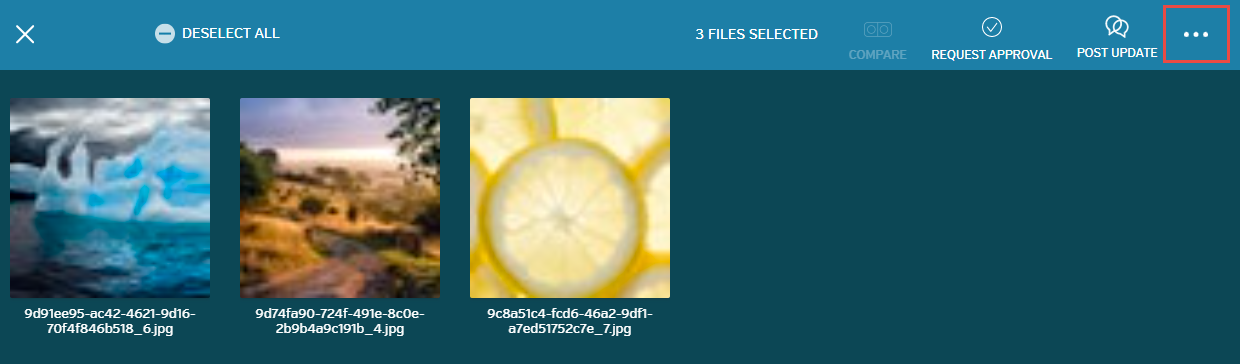 hightail-delete-multiple-files-three-dot-menu.png